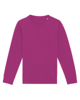 Sweatshirt, roundneck, Kids Sweatshirt, roundneck, Kids
